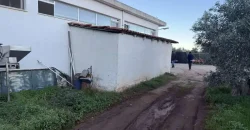 Olive oil mill in the Peloponnese