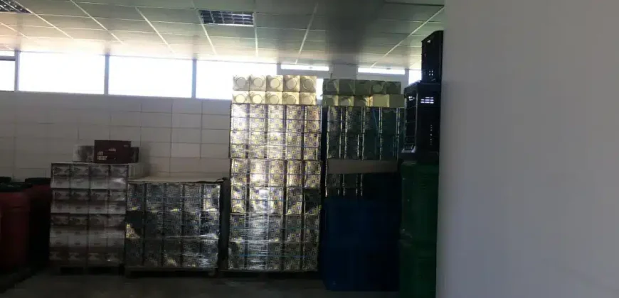 Olive oil mill in the Peloponnese