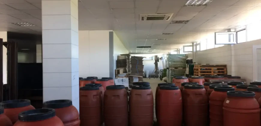 Olive oil mill in the Peloponnese