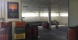 Olive oil mill in the Peloponnese