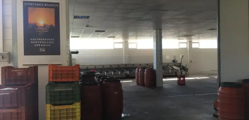 Olive oil mill in the Peloponnese