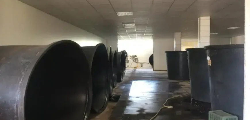 Olive oil mill in the Peloponnese