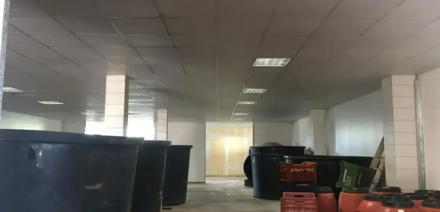 Olive oil mill in the Peloponnese