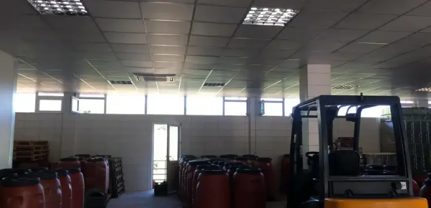 Olive oil mill in the Peloponnese