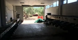 Olive oil mill in the Peloponnese