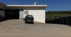 Olive oil mill in the Peloponnese