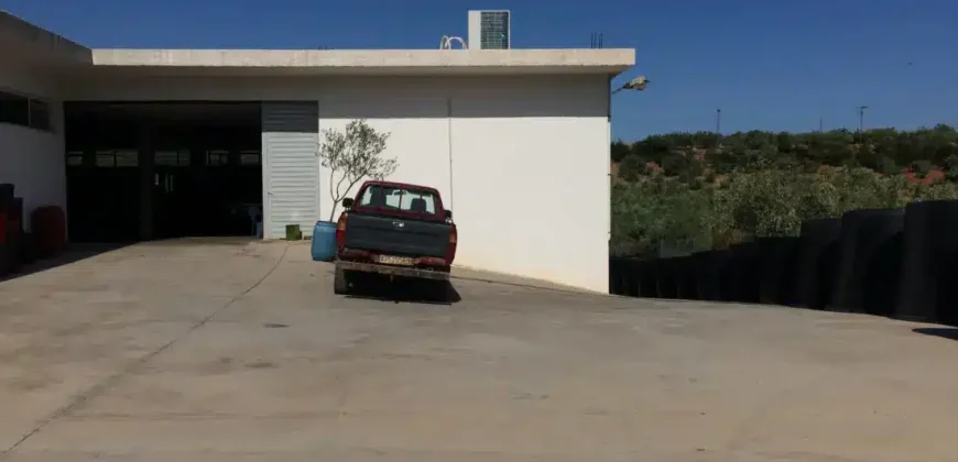 Olive oil mill in the Peloponnese