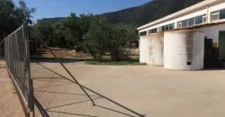 Olive oil mill in the Peloponnese
