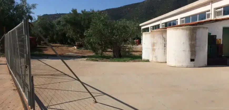 Olive oil mill in the Peloponnese