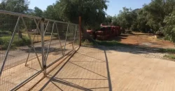 Olive oil mill in the Peloponnese