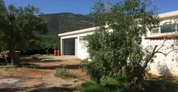 Olive oil mill in the Peloponnese