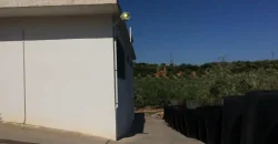 Olive oil mill in the Peloponnese
