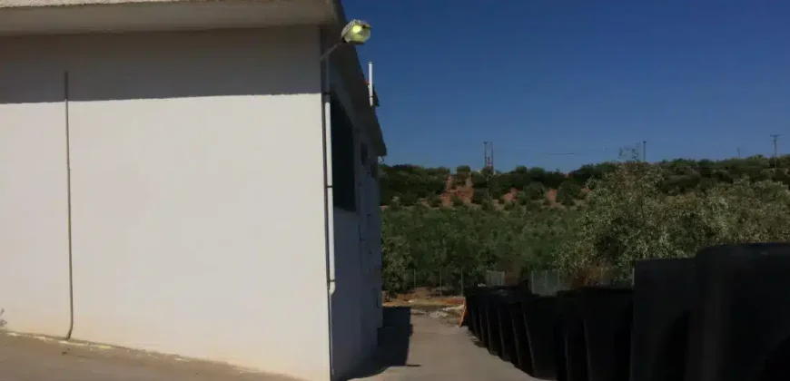 Olive oil mill in the Peloponnese