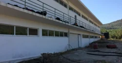 Olive oil mill in the Peloponnese