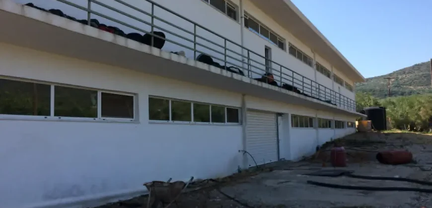 Olive oil mill in the Peloponnese