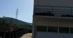 Olive oil mill in the Peloponnese