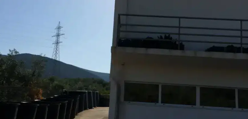 Olive oil mill in the Peloponnese