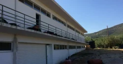 Olive oil mill in the Peloponnese