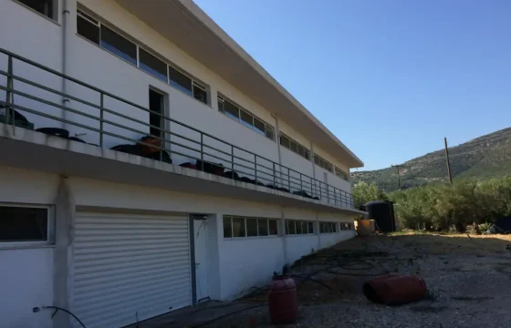 Olive oil mill in the Peloponnese