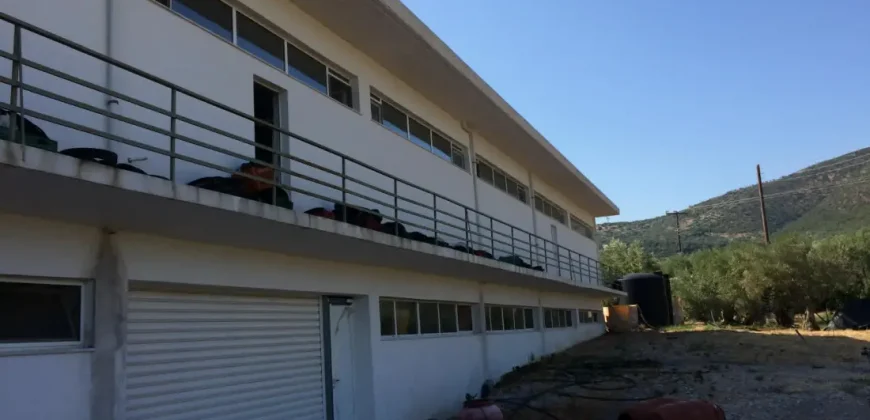 Olive oil mill in the Peloponnese