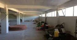 Olive oil mill in the Peloponnese