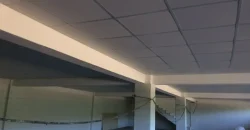 Olive oil mill in the Peloponnese