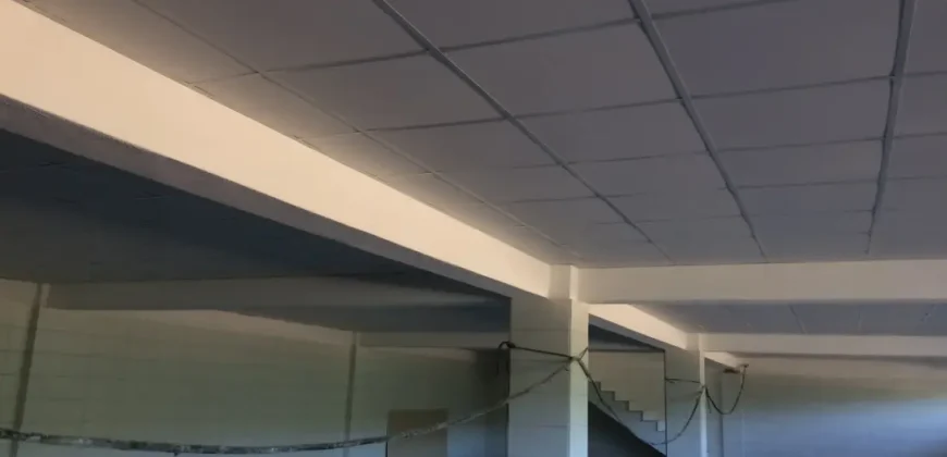 Olive oil mill in the Peloponnese