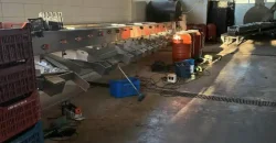 Olive oil mill in the Peloponnese