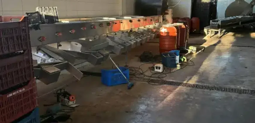 Olive oil mill in the Peloponnese