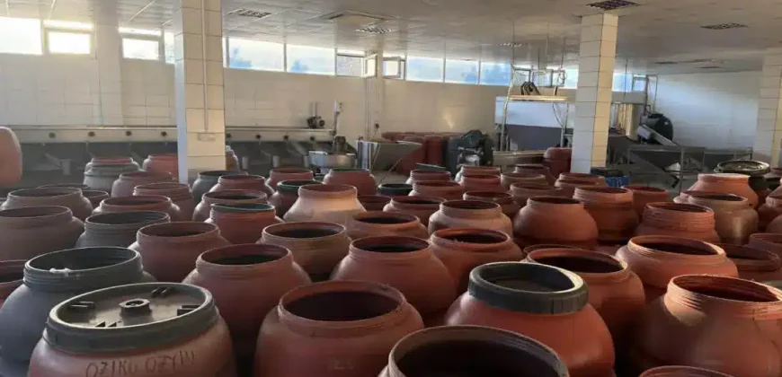 Olive oil mill in the Peloponnese