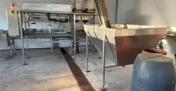 Olive oil mill in the Peloponnese