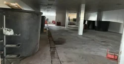 Olive oil mill in the Peloponnese