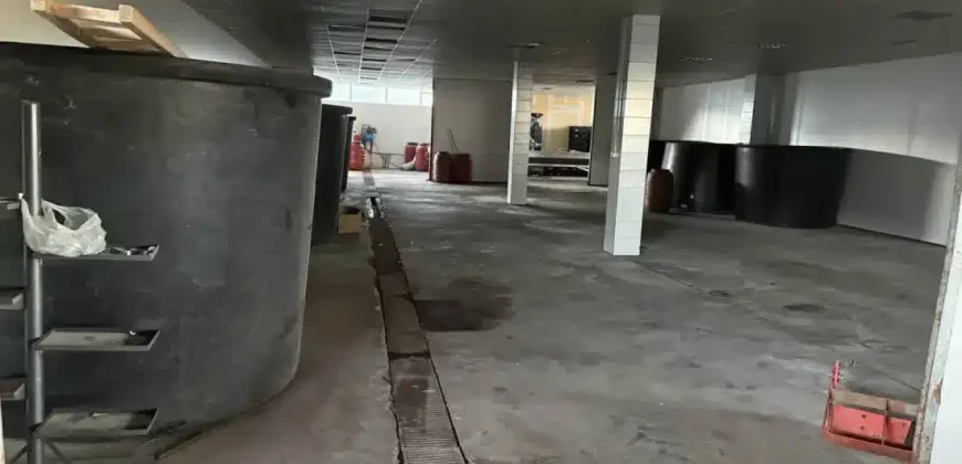 Olive oil mill in the Peloponnese