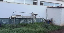 Olive oil mill in the Peloponnese