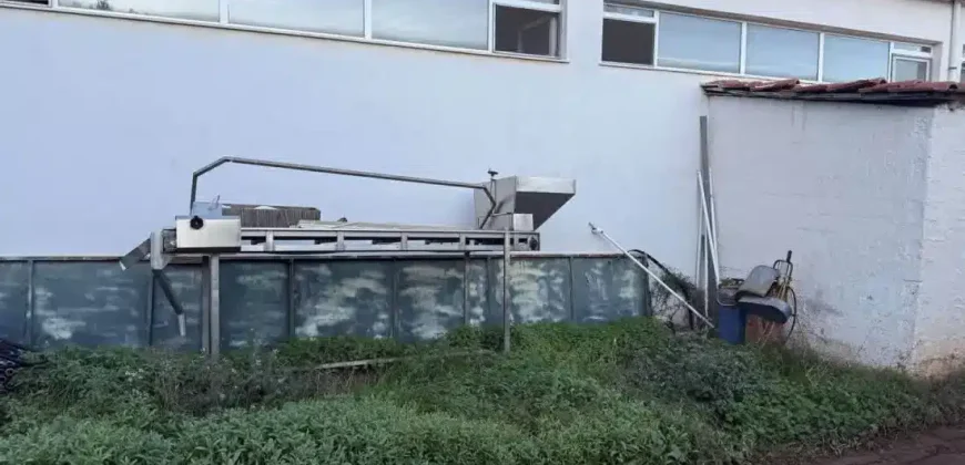 Olive oil mill in the Peloponnese