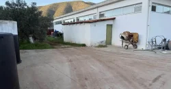 Olive oil mill in the Peloponnese