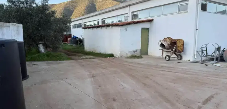 Olive oil mill in the Peloponnese