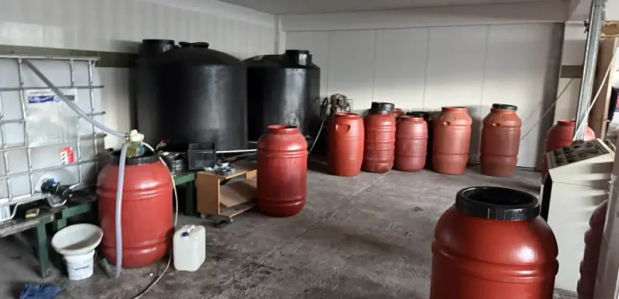 Olive oil mill in the Peloponnese