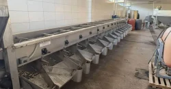 Olive oil mill in the Peloponnese