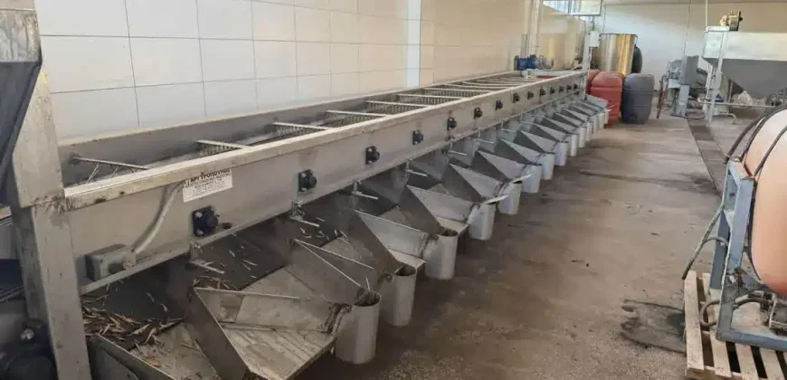 Olive oil mill in the Peloponnese